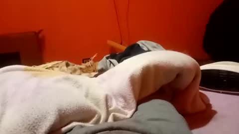 Snapshot of raulillo19842 chatting on 02.19.26 raulillo19842 online show from 02.19.26