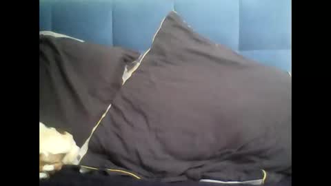 Snapshot of rayday_ chatting on 03.09.25 rayday_ online show from 03.09.25