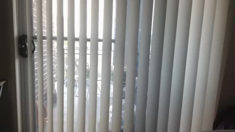 Snapshot of razzammattazz chatting on 09.16.25 razzammattazz 0469863230 online show from 09.16.25