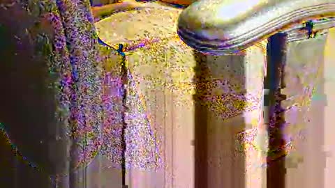 rb69er905364 online show from 09.10.25