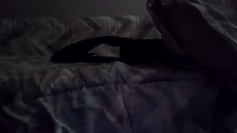 rcalty online show from 11.10.25