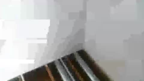 Snapshot of rdyforitall chatting on 01.06.25 Mr Nice online show from 01.06.25