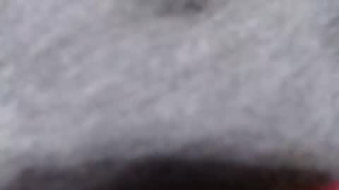 ready2fuk647232 online show from 11.02.25