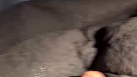 Snapshot of rebornbutbored chatting on 11.15.25 rebornbutbored online show from 11.15.25