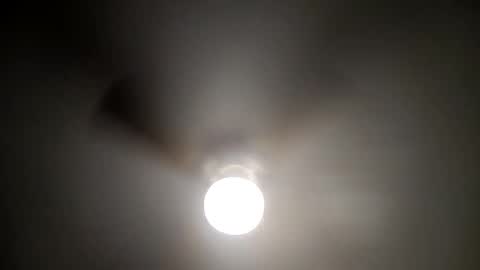 Snapshot of red24devils chatting on 01.16.25 red24devils online show from 01.16.25