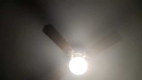 Snapshot of red24devils chatting on 02.14.25 red24devils online show from 02.14.25