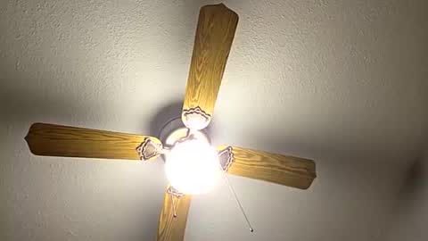 Snapshot of red24devils chatting on 09.12.25 red24devils online show from 09.12.25