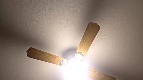 Snapshot of red24devils chatting on 12.03.25 red24devils online show from 12.03.25