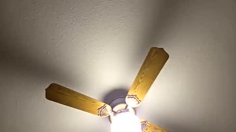 Snapshot of red24devils chatting on 03.05.26 red24devils online show from 03.05.26