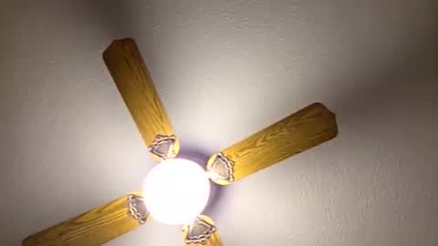 Snapshot of red24devils chatting on 03.14.26 red24devils online show from 03.14.26