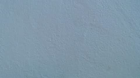 Rose  Dariah online show from 07.20.26