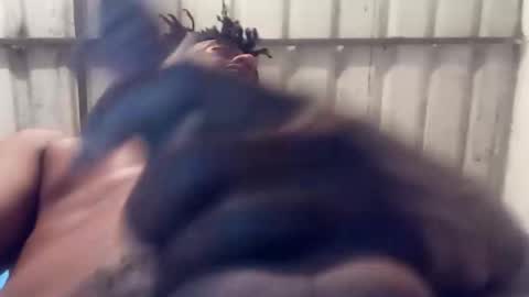 reinft online show from 03.21.26