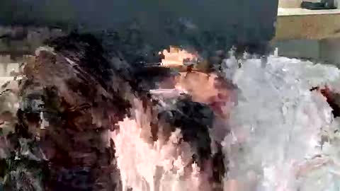 renaexx03 online show from 09.28.25