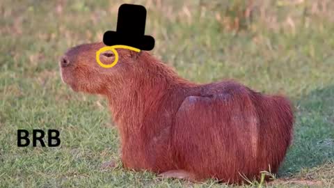 Snapshot of revivedunknown chatting on 02.16.26 Chris online show from 02.16.26