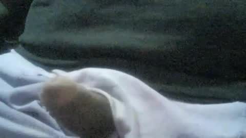 Snapshot of ricardo160291 chatting on 01.06.25 ricardo160291 online show from 01.06.25