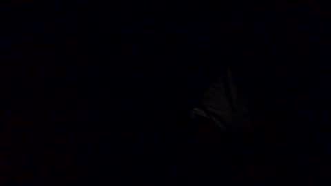 Babu online show from 10.12.25