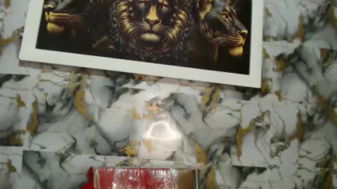 Snapshot of rigel_paxs chatting on 11.18.25 rigel online show from 11.18.25