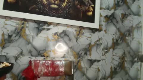 Snapshot of rigel_paxs chatting on 11.20.25 rigel online show from 11.20.25