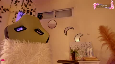 Snapshot of riiley_ chatting on 12.17.24 Independent model online show from 12.17.24