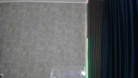 Snapshot of ringfor_bella chatting on 01.08.25 Ann online show from 01.08.25