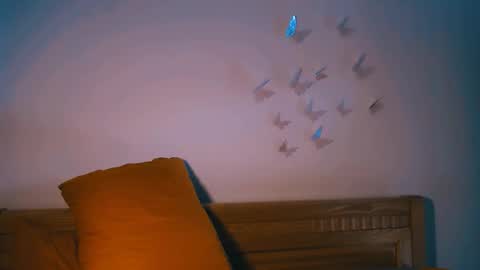 Rita online show from 02.14.26