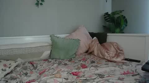 River online show from 03.04.26