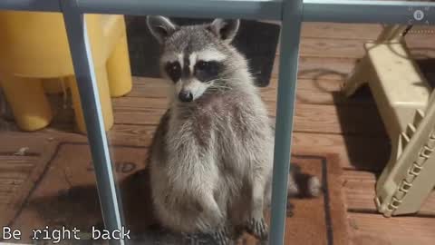 Ryan aka KeylimeRy online show from 02.28.25