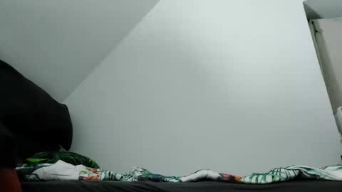 Zenek online show from 10.02.25