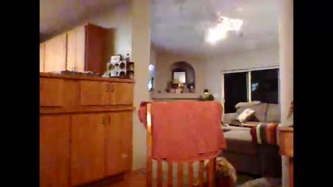 Snapshot of robo0000 chatting on 11.20.25 robo0000 online show from 11.20.25