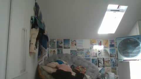 rodofra online show from 03.13.26