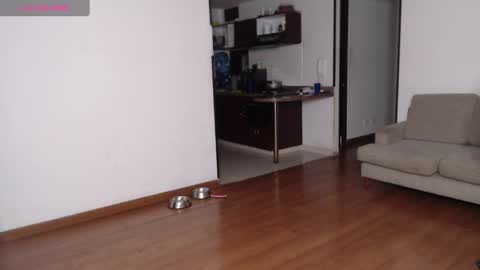 Rogger online show from 02.21.25