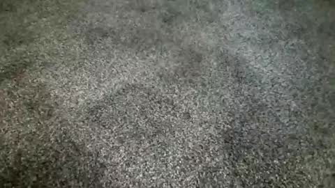 rokard121 online show from 03.04.25