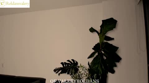 Snapshot of roldansvalery chatting on 02.05.25 Valery Roldans online show from 02.05.25