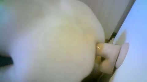 Snapshot of romson998181 chatting on 11.01.25 romson998181 online show from 11.01.25