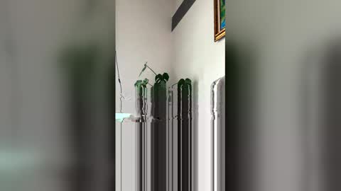 Roni Hall online show from 03.29.26