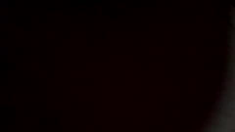 rooster2024 online show from 03.03.26