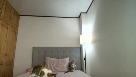 Snapshot of rosasanta8009 chatting on 10.19.25 I am Rosa online show from 10.19.25