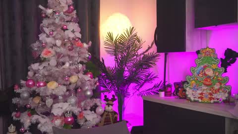 Snapshot of roshen_amira chatting on 12.25.24 Amii online show from 12.25.24