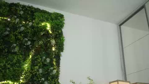 Amii online show from 06.15.26