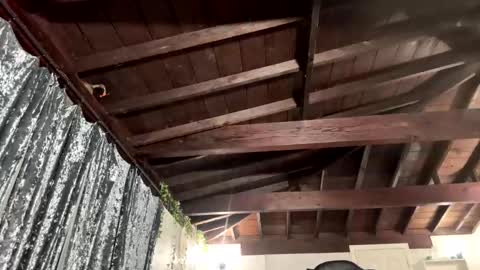 Snapshot of rp30 chatting on 01.19.26 Richhancocc online show from 01.19.26