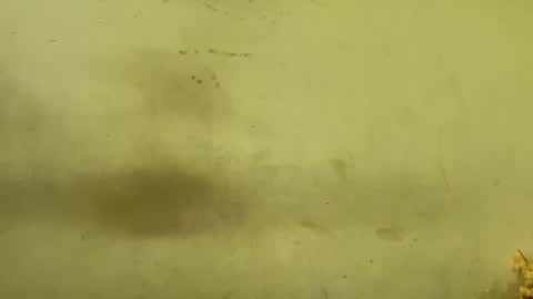 Rupali online show from 12.20.25