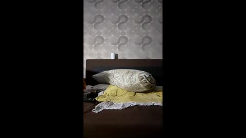 Snapshot of russianbear1917 chatting on 01.14.26 Mike online show from 01.14.26