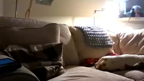 Snapshot of rustyx22 chatting on 10.02.25 Rusty online show from 10.02.25