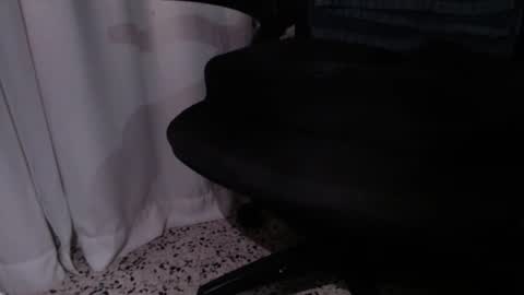 Snapshot of rx7900xtx chatting on 12.04.25 rx7900xtx online show from 12.04.25