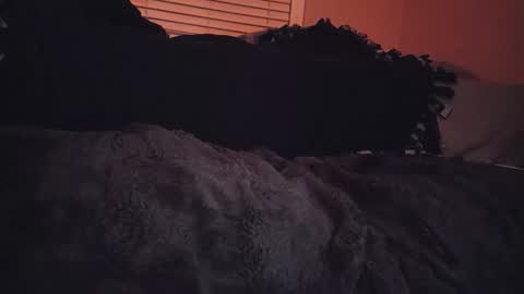 RFC666 online show from 11.06.25