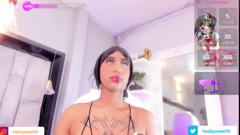  Hasley  online show from 02.09.26