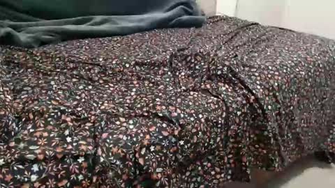 dadbod online show from 12.15.24