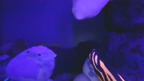 Snapshot of saddybaddie chatting on 03.13.26 saddybaddie online show from 03.13.26