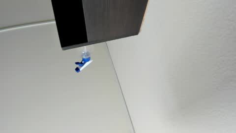 Cami online show from 03.20.26