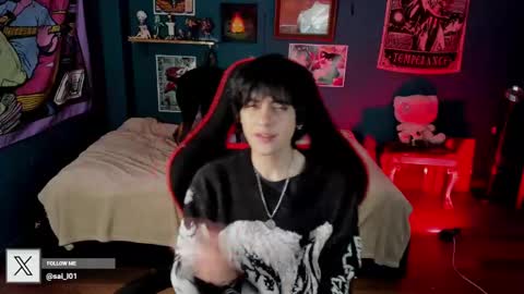 SAI online show from 01.05.25